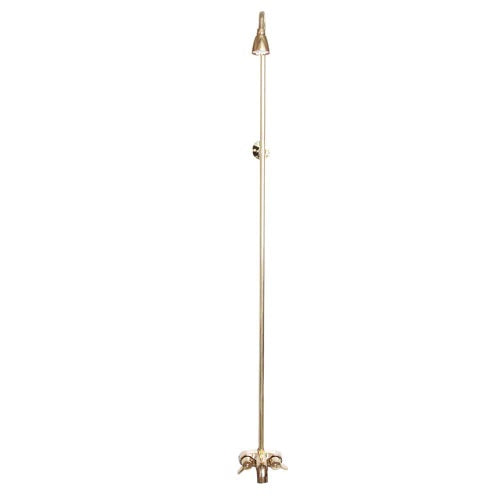 Two-Handle Basic Tub Faucet with 62" Riser & Shower Head in Polished Brass