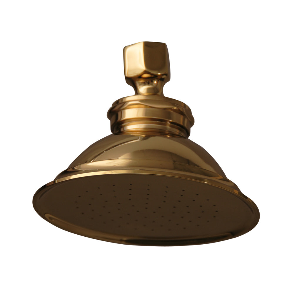 4-3/4" Sprinkler Can Shower Head in Polished Brass