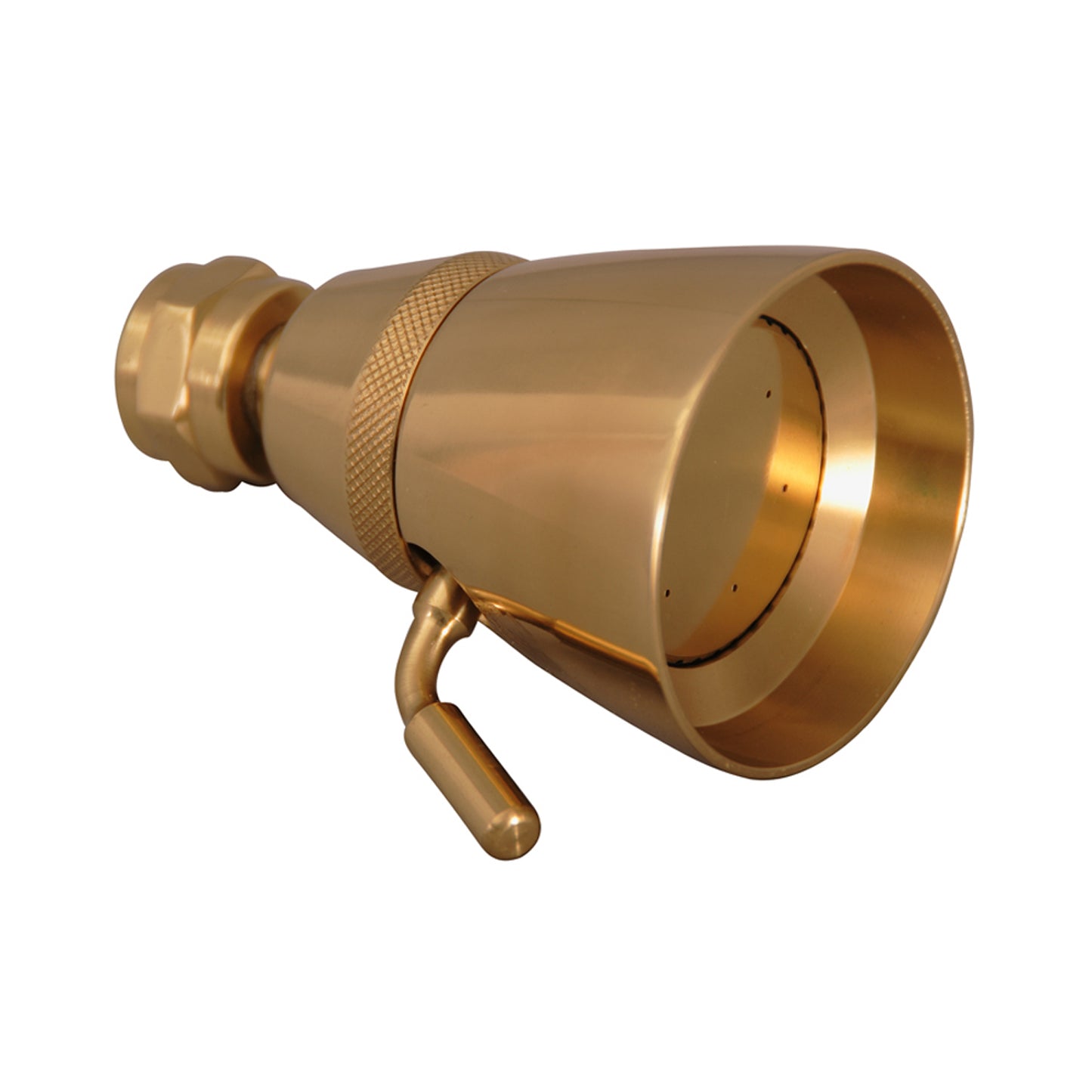Traditional Shower Head 2-1/4" Adjustable in Polished Brass