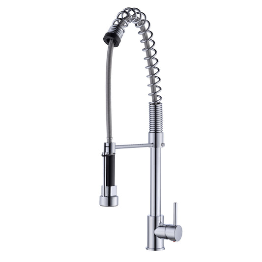 Celie Spring Spout Kitchen Faucet with Hose, Polished Chrome